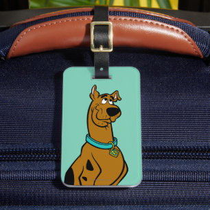 Etiqueta De Bagagem Olhos do filhote de cachorro de Scooby-Doo
