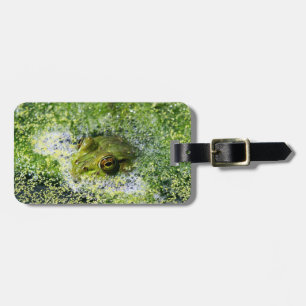 Etiqueta De Bagagem Olhos sapos em um Pond
