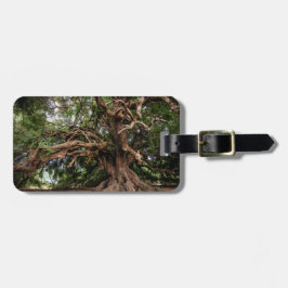 Etiqueta De Bagagem Oliveira velha rústica