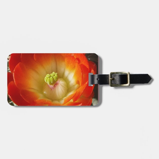 Etiqueta De Bagagem Orange-Cactus-flower (Frente Horizontal)
