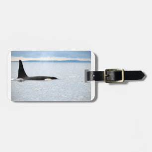 Etiqueta De Bagagem Orca