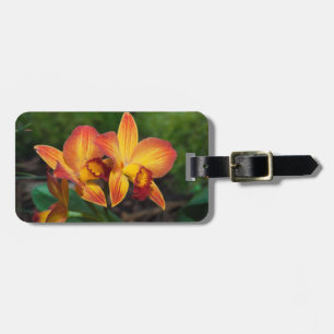 Etiqueta De Bagagem Orquídea Laranja Gorda Amarelo Rhyncattleanthe