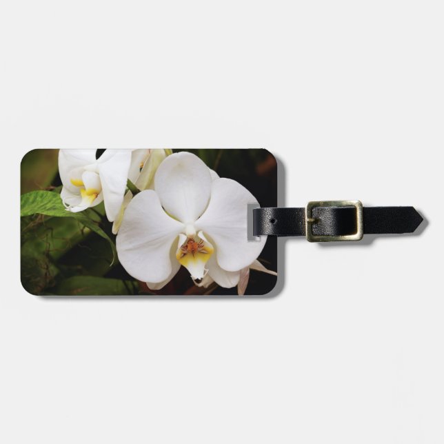 Etiqueta De Bagagem Orquídea Lua Branca (Phalaenopsis Aphrodite) (Frente Horizontal)