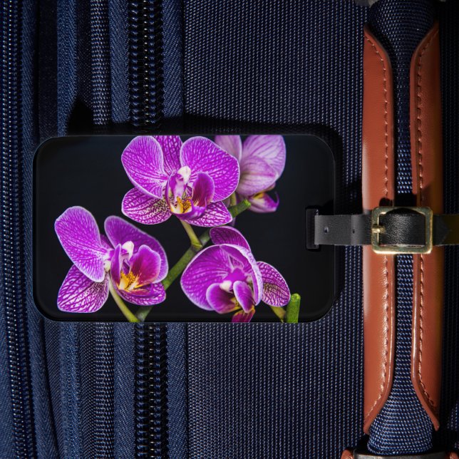 Etiqueta De Bagagem Orquídea roxa (Frente Insitu 4)