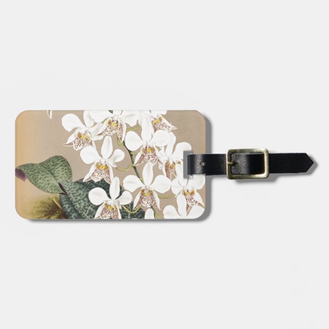 Etiqueta De Bagagem Orquídeas (Frente Horizontal)