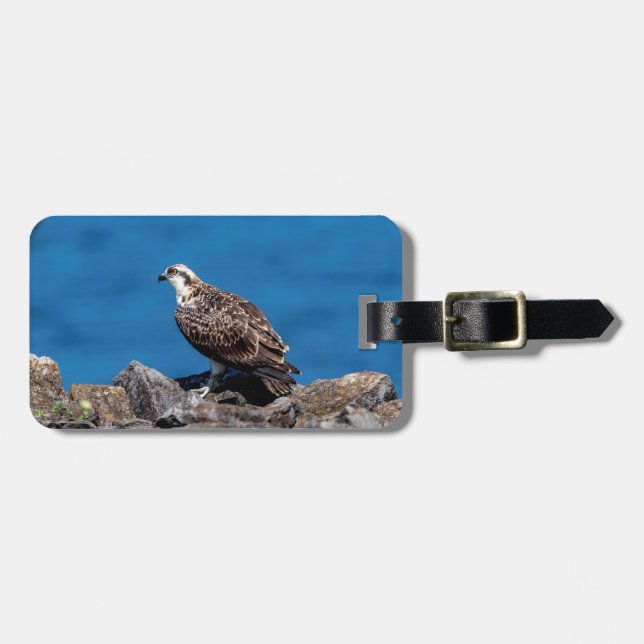 Etiqueta De Bagagem Osprey nas rochas (Frente Horizontal)