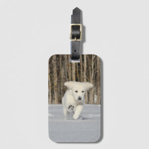 Etiqueta De Bagagem Ouro branco - Retriever Puppy na neve