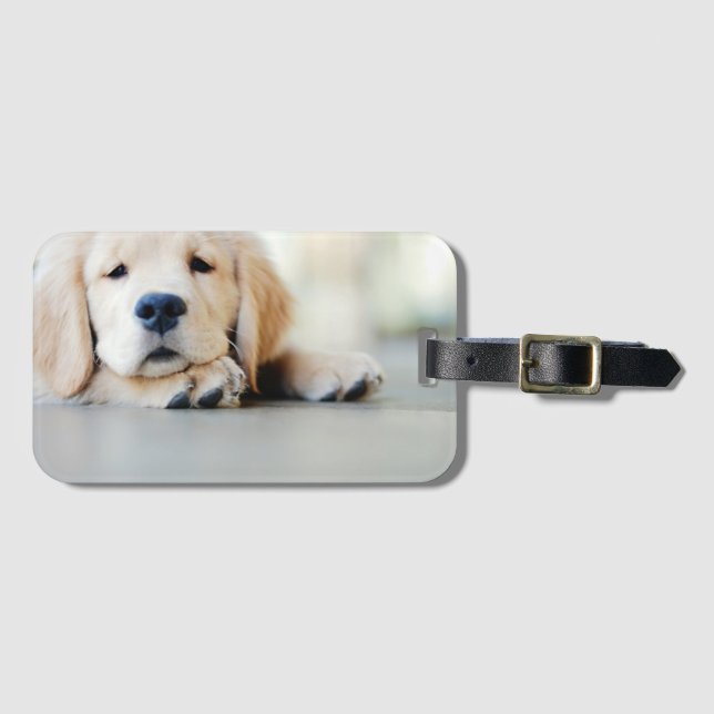 Etiqueta De Bagagem Ouro com sono (Frente Horizontal)