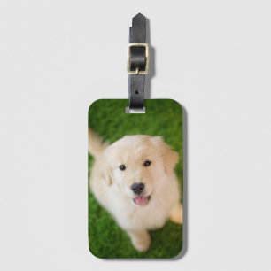 Etiqueta De Bagagem Ouro - Retirador de Puppy com Grass