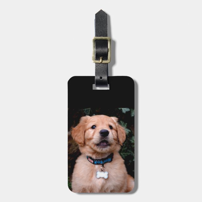 Etiqueta De Bagagem Ouro Retriever Puppy (Frente Vertical)
