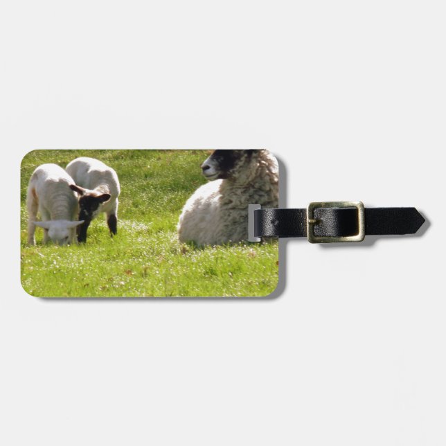 Etiqueta De Bagagem Ovinos Com Primavera (Frente Horizontal)