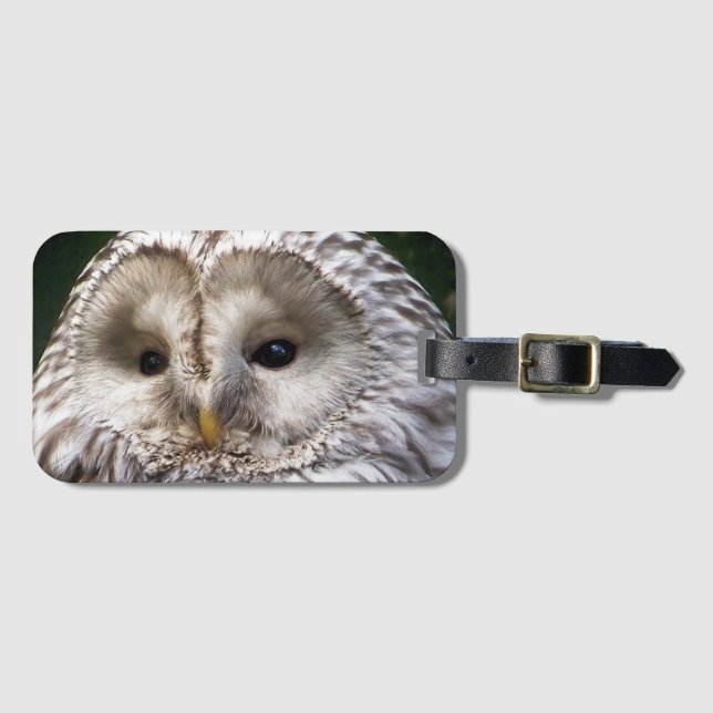 ETIQUETA DE BAGAGEM OWLS (Frente Horizontal)