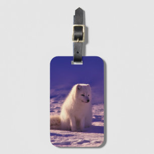 Etiqueta De Bagagem Paisagem de neve de inverno da raposa ártica