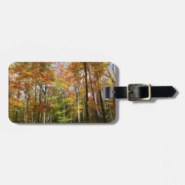 Etiqueta De Bagagem Paisagem de outono de Floresta II (Frente Horizontal)