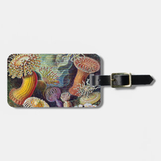 Etiqueta De Bagagem Paisagem Natural Do Mar De Haeckel Anemone Ocean L
