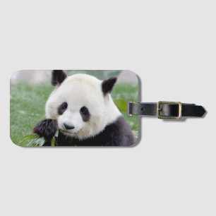 Etiqueta De Bagagem Panda gigante da bagagem 1 .