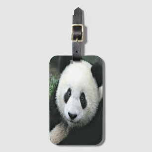 Etiqueta De Bagagem Panda Gigante em Grama Verde Suave