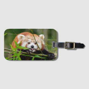 Etiqueta De Bagagem Panda Vermelha