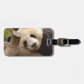 Etiqueta De Bagagem PandaSD010