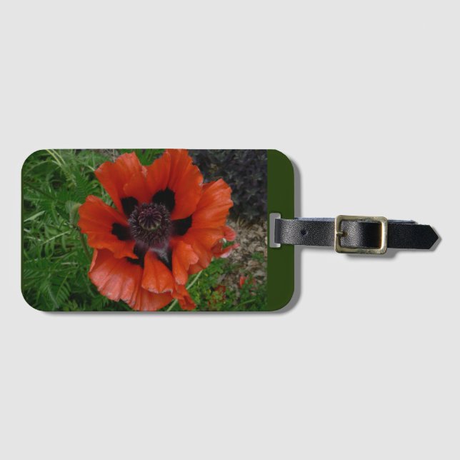 Etiqueta De Bagagem papoila oriental (Frente Horizontal)