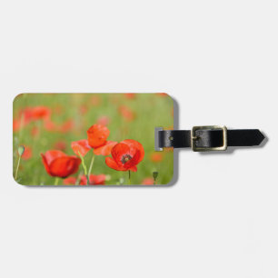 Etiqueta De Bagagem Papoilas em um Tag da bagagem do campo da papoila