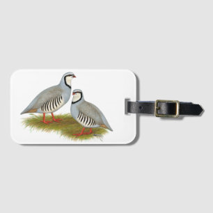 Etiqueta De Bagagem Par de Chukar Partridge