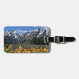 Etiqueta De Bagagem Parque Nacional Grand Teton