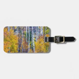 Etiqueta De Bagagem Passagem mágica do Cottonwood da árvore de Aspen