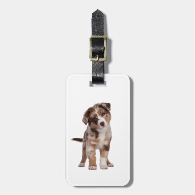 Etiqueta De Bagagem Pastor australiano | (Frente Vertical)