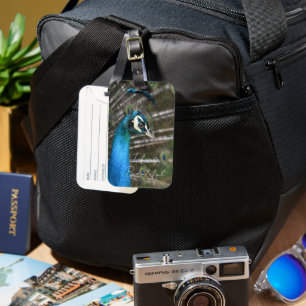 Etiqueta De Bagagem Pavão de Kauai