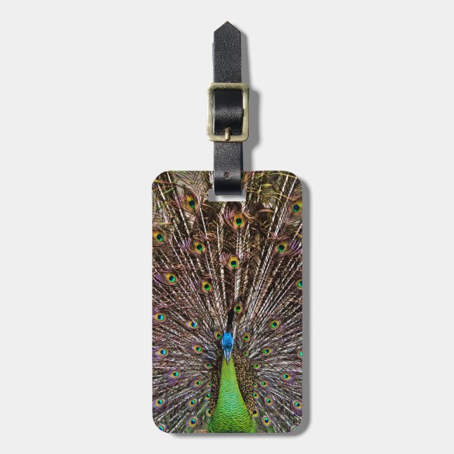 Etiqueta De Bagagem Peacock (Frente Vertical)