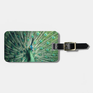 Etiqueta De Bagagem Peacock Strut