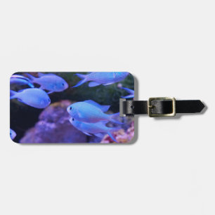 Etiqueta De Bagagem Peixe Azul Tropical