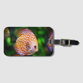 Etiqueta De Bagagem Peixe de mesa 