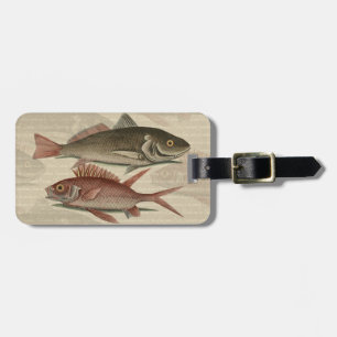 Etiqueta De Bagagem Peixe Perca Vermelha Arte de Pescador