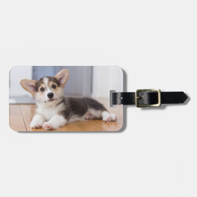 Etiqueta De Bagagem Pembroke Welsh Corgi (Frente Horizontal)