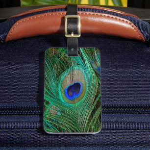 Etiqueta De Bagagem Pena de Pavão Azul Indiano