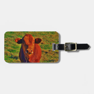 Etiqueta De Bagagem Pequena Vaca Castanha Verde Brilhante