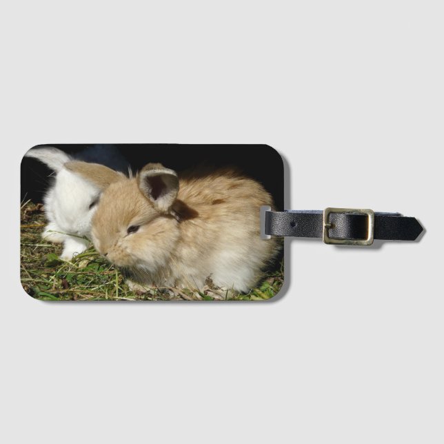 Etiqueta De Bagagem Pequenos coelhos fofos bonitos (Frente Horizontal)