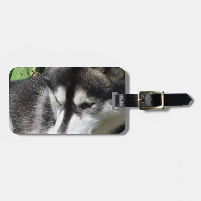 Etiqueta de Bagagem Perfil de Husky (Frente Horizontal)