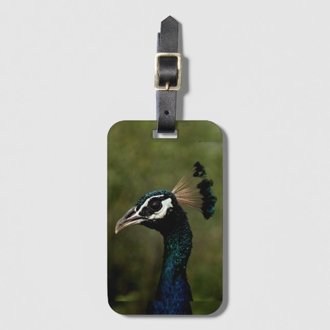 Etiqueta De Bagagem Perfil de Peacock (Frente Vertical)