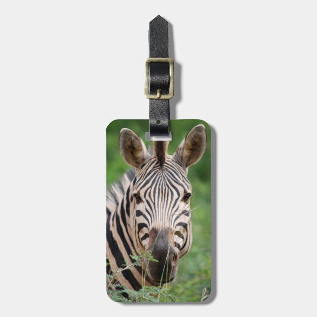 Etiqueta De Bagagem Perfil Zebra (Frente Vertical)