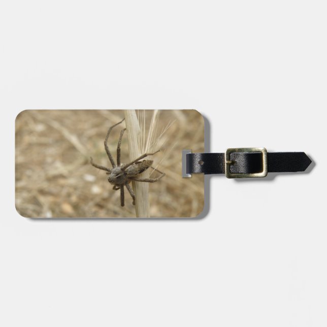 Etiqueta de Bagagem Personalizada de Aranha Crawly (Frente Horizontal)