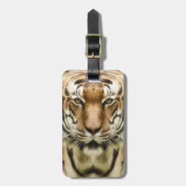 Etiqueta de bagagem personalizada de fecho do Tigr