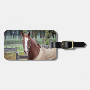 Etiqueta de bagagem personalizada de Horse Lover