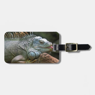 Etiqueta de bagagem personalizada de Iguana
