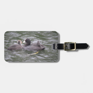 Etiqueta de Bagagem Personalizada de Pintinho Fres
