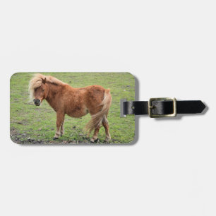 Etiqueta de bagagem personalizada de Pony Lover