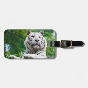 Etiqueta de bagagem personalizada do Tigre Branco