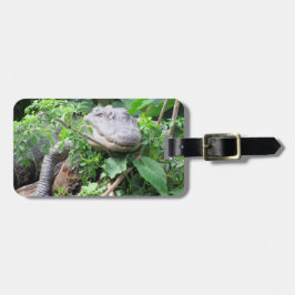 Etiqueta de Bagagem Personalizada - Gator Comfy